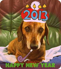 Wishing you all a very Happy and Alfie New Year 2013.