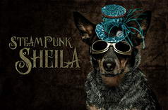 Steampunk Sheila
