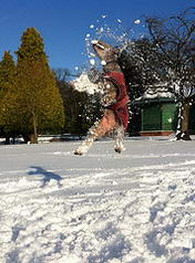 Meg catching a snowball